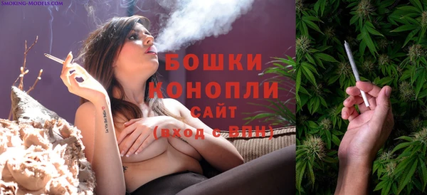 ECSTASY Кодинск