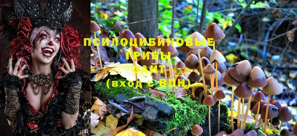 мет Касимов