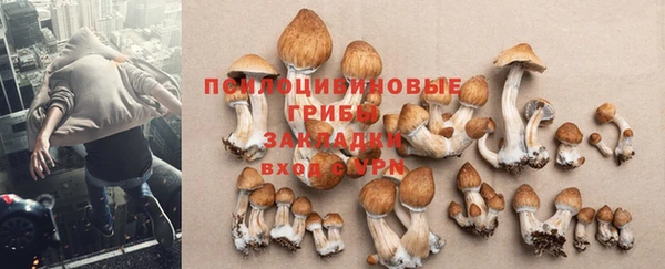 прущие крисы Пролетарск