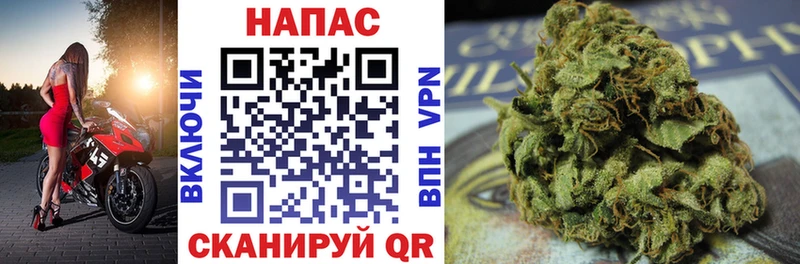 блэк спрут как зайти  Краснозаводск  Канабис индика  что такое наркотик 